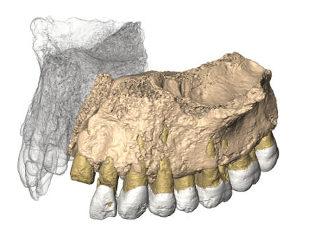 Researchers tested the remains of the earliest human out of Africa in three different labs.